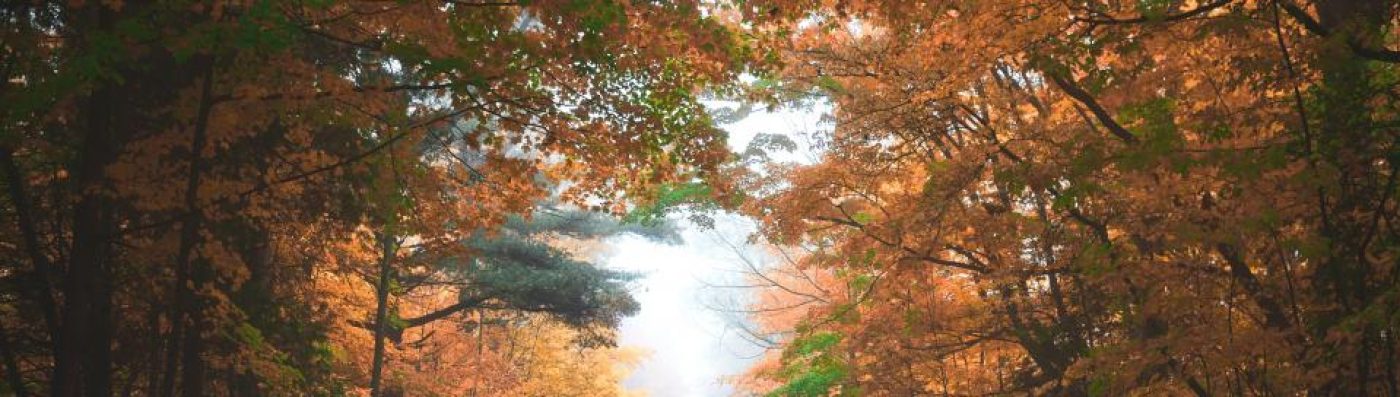 Welcome to EMBER PATH Counselling & Coaching