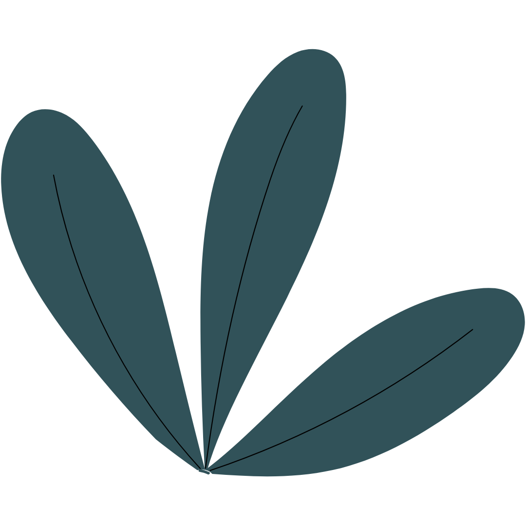 Person-centred counselling approach — warm and inclusive therapy
